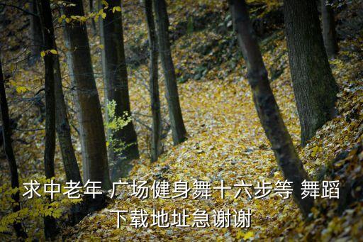求中老年 广场健身舞十六步等 舞蹈下载地址急谢谢