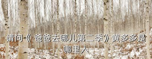 爸爸去哪儿 舞蹈,孙俪参加爸爸去哪儿第六季被网民熟悉和喜欢