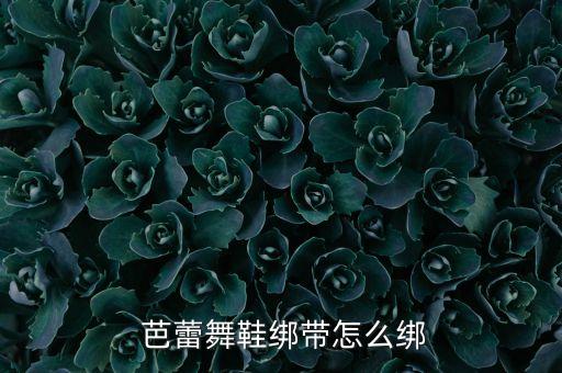 穿芭蕾舞蹈鞋视频教程,芭蕾舞蹈教视频:先穿上鞋再舞蹈