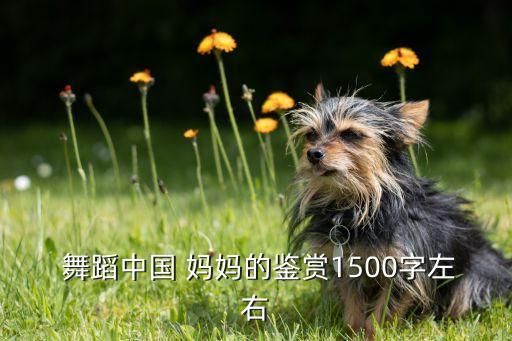 舞蹈妈妈你快歇歇吧,妈妈的呼唤永远都在耳畔
