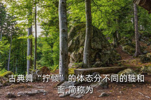 古典舞蹈旋转,舞蹈基础训练:掌握古典芭蕾风格
