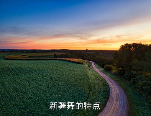 维族舞蹈移颈的动作要求,新疆舞蹈风格独特