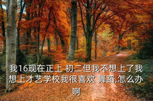 在艺校舞蹈初二插班,我和你一样希望被选择