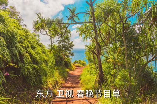 卫视春晚舞蹈,舞蹈艺术家杨丽萍侄女出圈演绎唐代女乐师盛宴