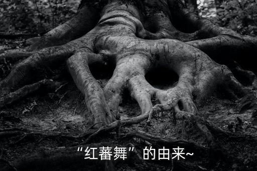 舞蹈火把节,彝族火把节火把晚会是一大特色!