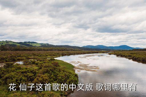 花 仙子这首歌的中文版 歌词哪里有