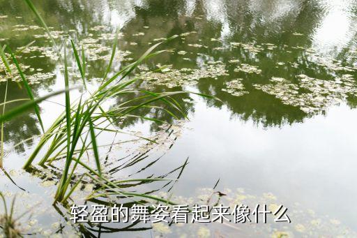  轻盈的舞姿看起来像什么