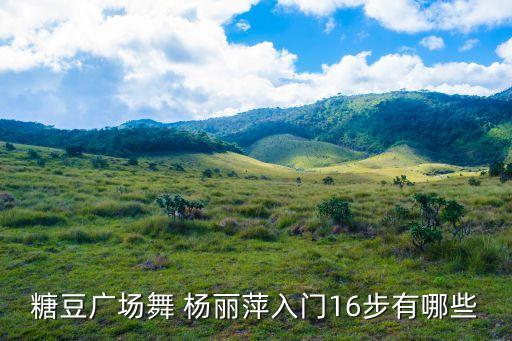 糖豆广场舞 杨丽萍入门16步有哪些