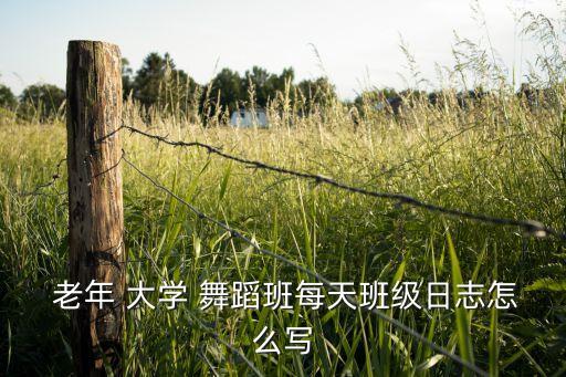  老年 大学 舞蹈班每天班级日志怎么写