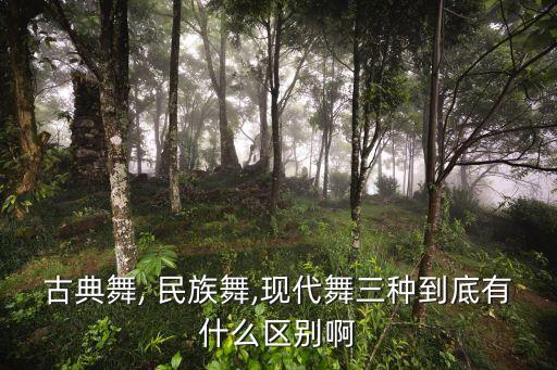 古典舞, 民族舞,现代舞三种到底有什么区别啊