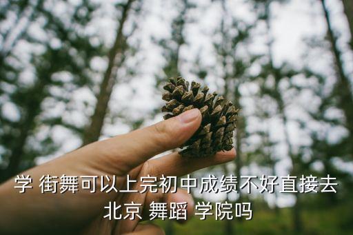 北京舞蹈学院有街舞,近几年可以跳街舞考艺考的院校很多