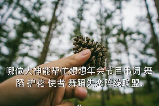 舞蹈护花使者变对形,第九期护花使者