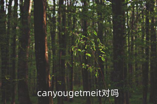 canyougetmeit对吗