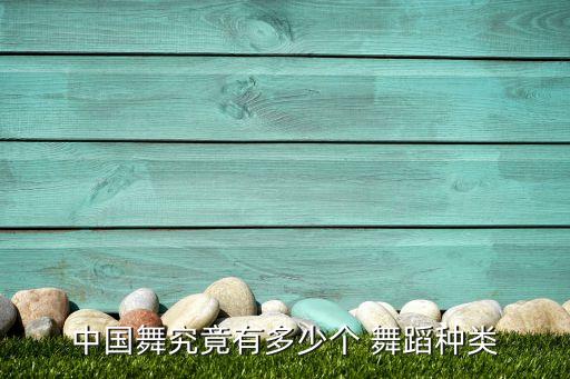 中国舞究竟有多少个 舞蹈种类
