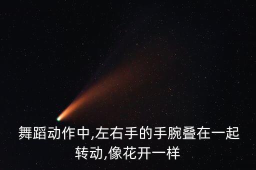 广场跳舞蹈手舞拿花,第二集:舞蹈是一门通过动作表现艺术