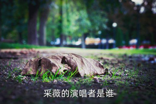 采薇舞蹈独舞,《画皮》第二集:初学者可观赏第一集电影