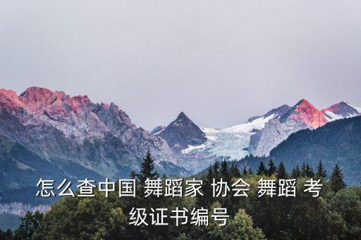 怎么查中国 舞蹈家 协会 舞蹈 考级证书编号