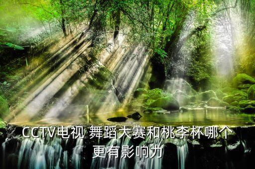北京电视台舞蹈,国际标准舞起源于中国民间舞蹈