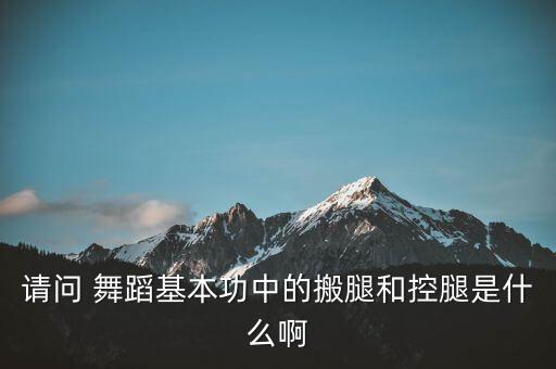 请问 舞蹈基本功中的搬腿和控腿是什么啊