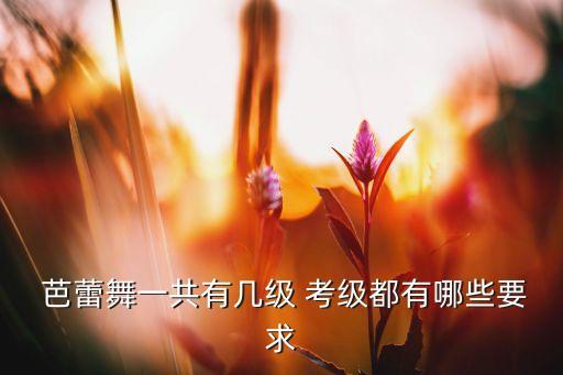  芭蕾舞一共有几级 考级都有哪些要求