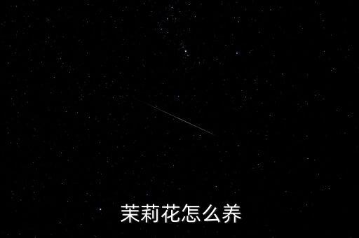  茉莉花怎么养