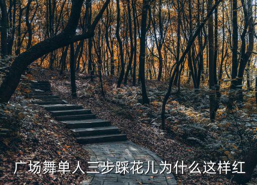  广场舞单人三步踩花儿为什么这样红