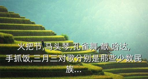 火把节,马头琴,孔雀舞,献 哈达,手抓饭,三月三对歌分别是那些少数民族...