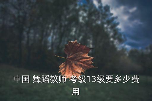 中国 舞蹈教师 考级13级要多少费用