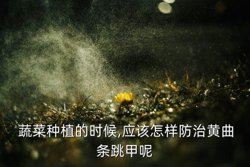  蔬菜种植的时候,应该怎样防治黄曲条跳甲呢