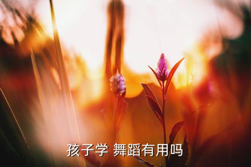 孩子学 舞蹈有用吗