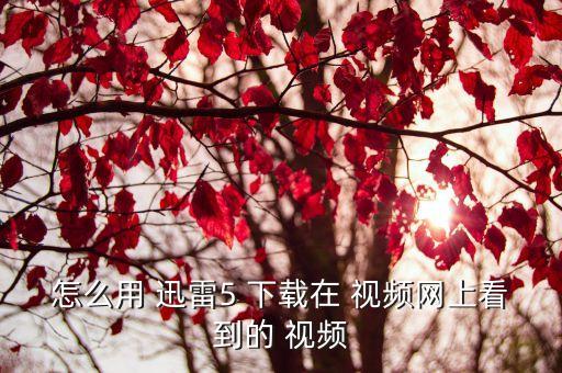 5 5舞蹈视频 迅雷下载地址,武汉出现第一起确诊病例