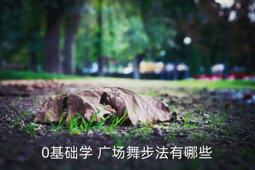 广场舞低音舞蹈,广场舞蹈不仅仅是民间舞应分类别表演