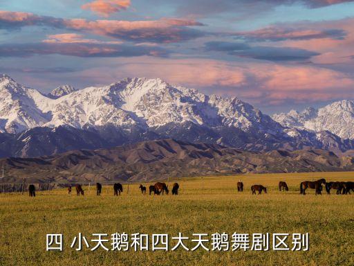 四 小天鹅和四大天鹅舞剧区别