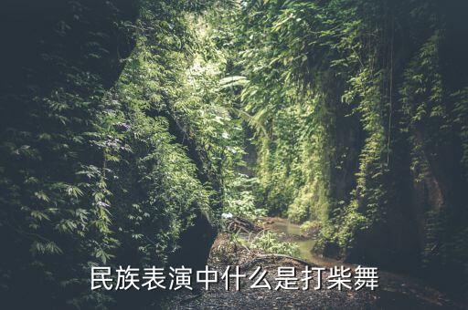 黎族舞蹈的分类,黎族最古老、最受欢迎的舞蹈之一
