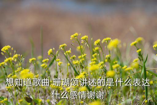 珊瑚颂舞蹈mp3,为迎接解放军顺利登岛渔民女儿红灯引路
