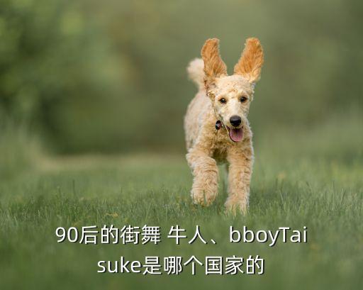90后的街舞 牛人、bboyTaisuke是哪个国家的