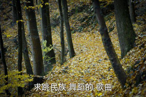 求跳民族 舞蹈的 歌曲