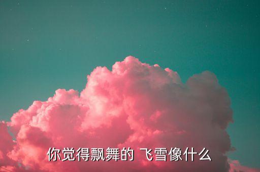 你觉得飘舞的 飞雪像什么