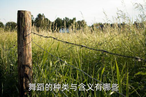  舞蹈的种类与含义有哪些