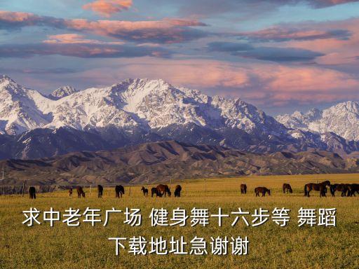 求中老年广场 健身舞十六步等 舞蹈下载地址急谢谢