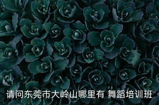 请问东莞市大岭山哪里有 舞蹈培训班