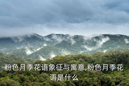 月之话语舞蹈分解教学,血橙黄玫瑰花语:等待希望