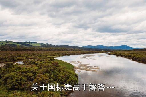 体育舞蹈理论,国际标准舞siththth分类介绍