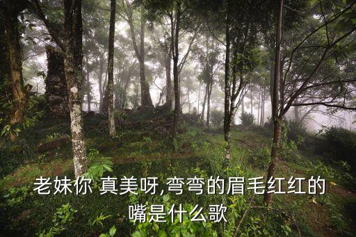  老妹你 真美呀,弯弯的眉毛红红的嘴是什么歌