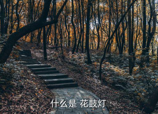 什么是 花鼓灯