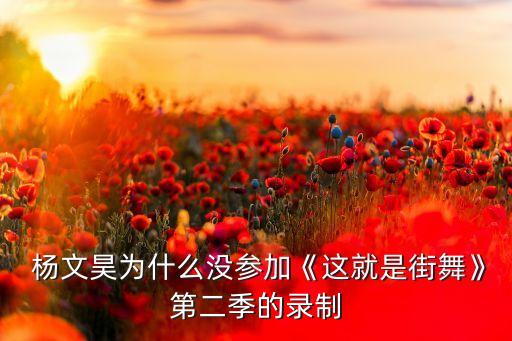 杨文昊中国好舞蹈海选,中国舞者杨文昊美国街舞比赛夺冠