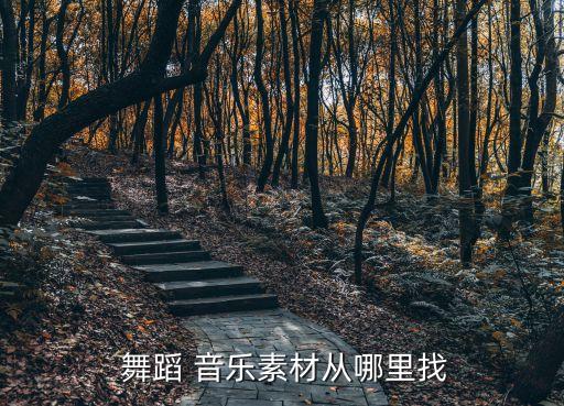  舞蹈 音乐素材从哪里找