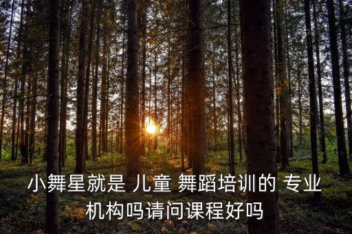小舞星就是 儿童 舞蹈培训的 专业机构吗请问课程好吗