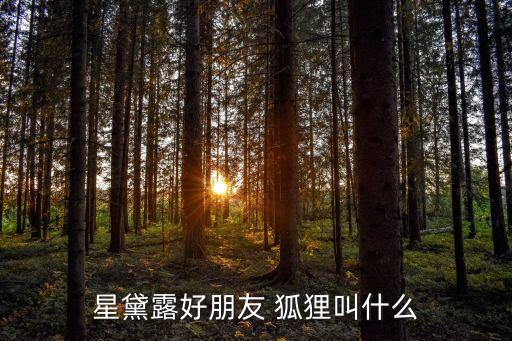 狐狸叫舞蹈教学简单,追寻梦想系列报道第二集