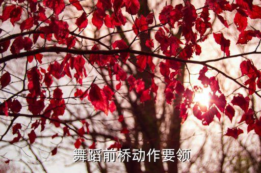 舞蹈准备活动视频,健美操课前准备活动:1仰卧挺胸抬腿